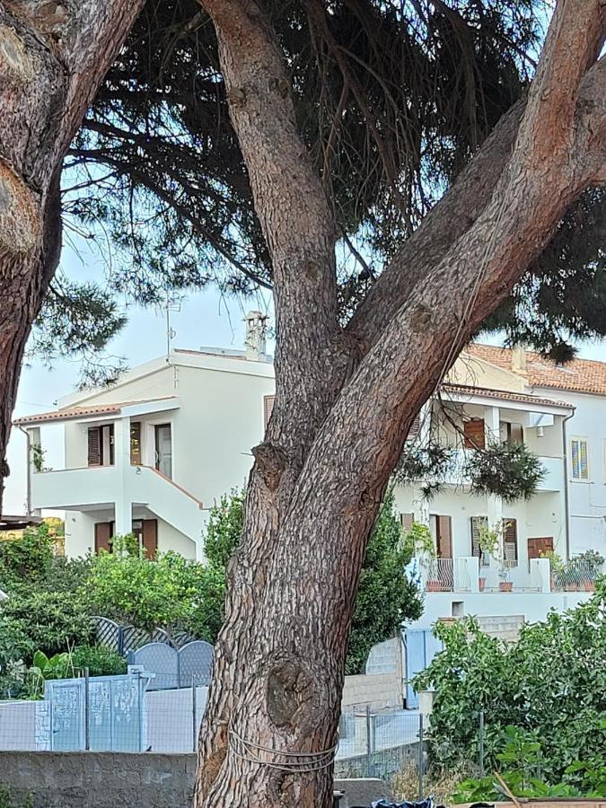 L'Asfodelo Bed and Breakfast Λα Μανταλένα Εξωτερικό φωτογραφία